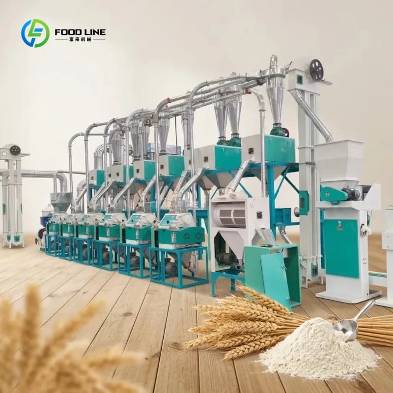 Machine à moudre le blé et le sarrasin à double usage, 20 tonnes par jour, équipement de petite usin