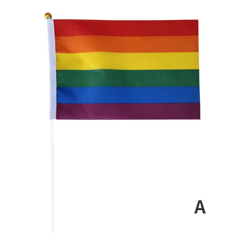 Mini drapeau arc-en-ciel à tenir à la main avec mât, 14x21cm, facile à tenir pour les défilés de fie