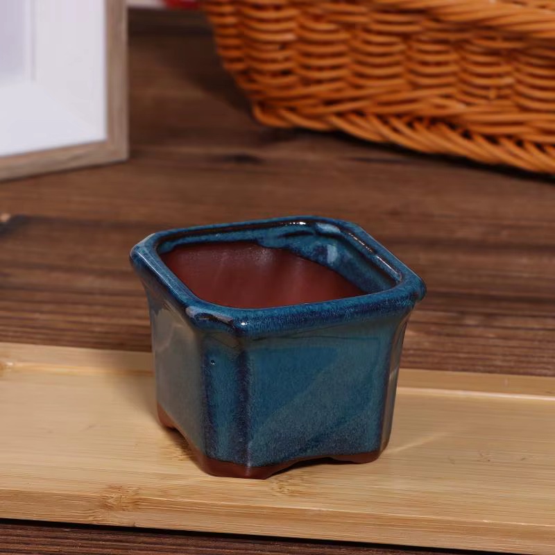 Mini pots de plantes en céramique, jardinières pour plantes succulentes, design artistique de style 