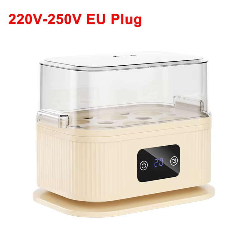 Cuiseur à œufs électrique mini avec minuterie et arrêt automatique, machine à faire cuire les œufs p