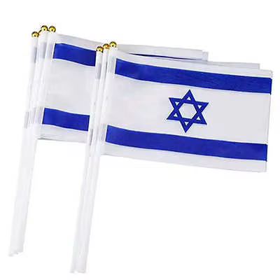 Mini drapeau israélien portatif, 14x21cm, avec mât en plastique, pour célébrations, défilés, décorat