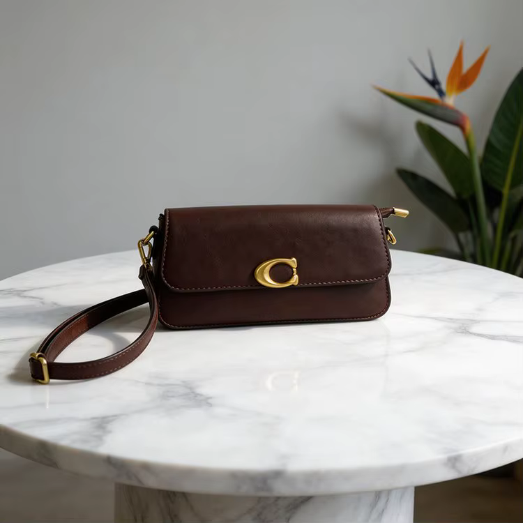 Sac à main de luxe pour femme avec rabat, nouvelle collection 2026, boucle métallique, détails en da