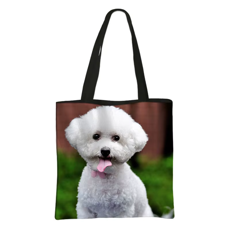 Sac fourre-tout en toile réutilisable pour femme, sac à provisions, sac de rangement, sac cadeau, Ch