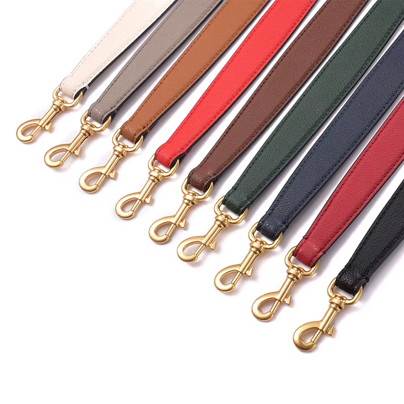 Accessoires de ceinture de sac pour sac COACH Tabby Dionysus