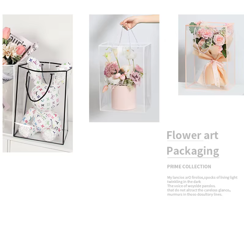 Sac fourre-tout transparent pour femme