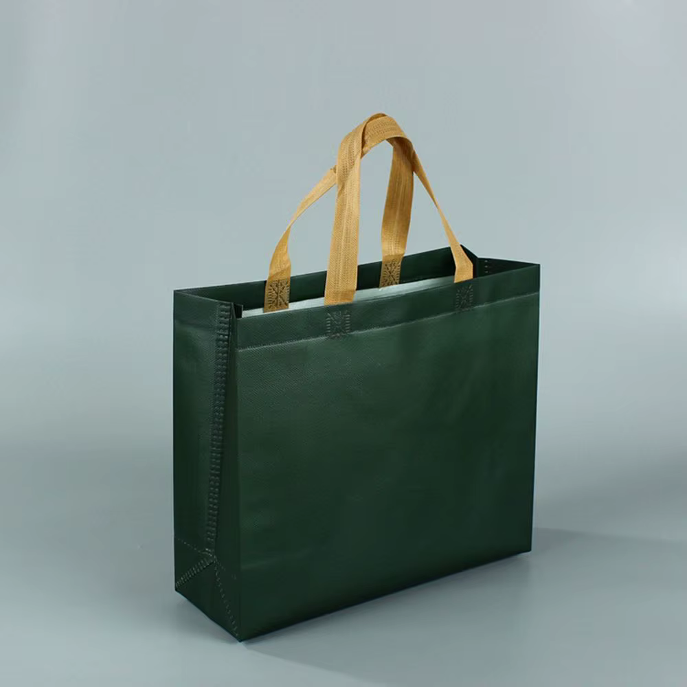 Sac d'épicerie écologique Durable vert bleu résistant à l'eau