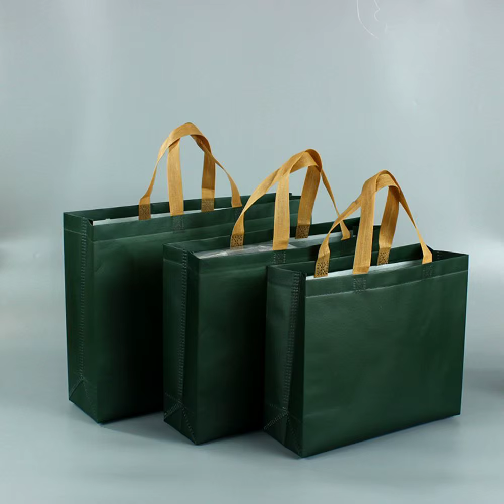 Sac d'épicerie écologique Durable vert bleu résistant à l'eau
