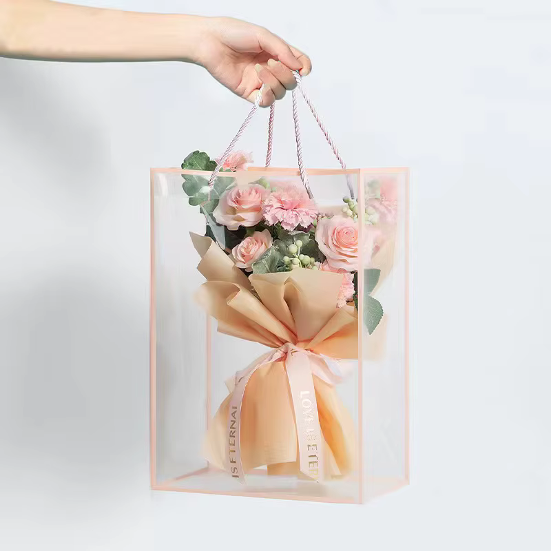 Sac fourre-tout transparent pour femme