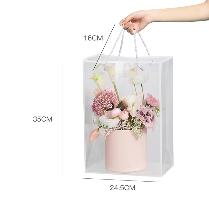Sac fourre-tout transparent pour femme