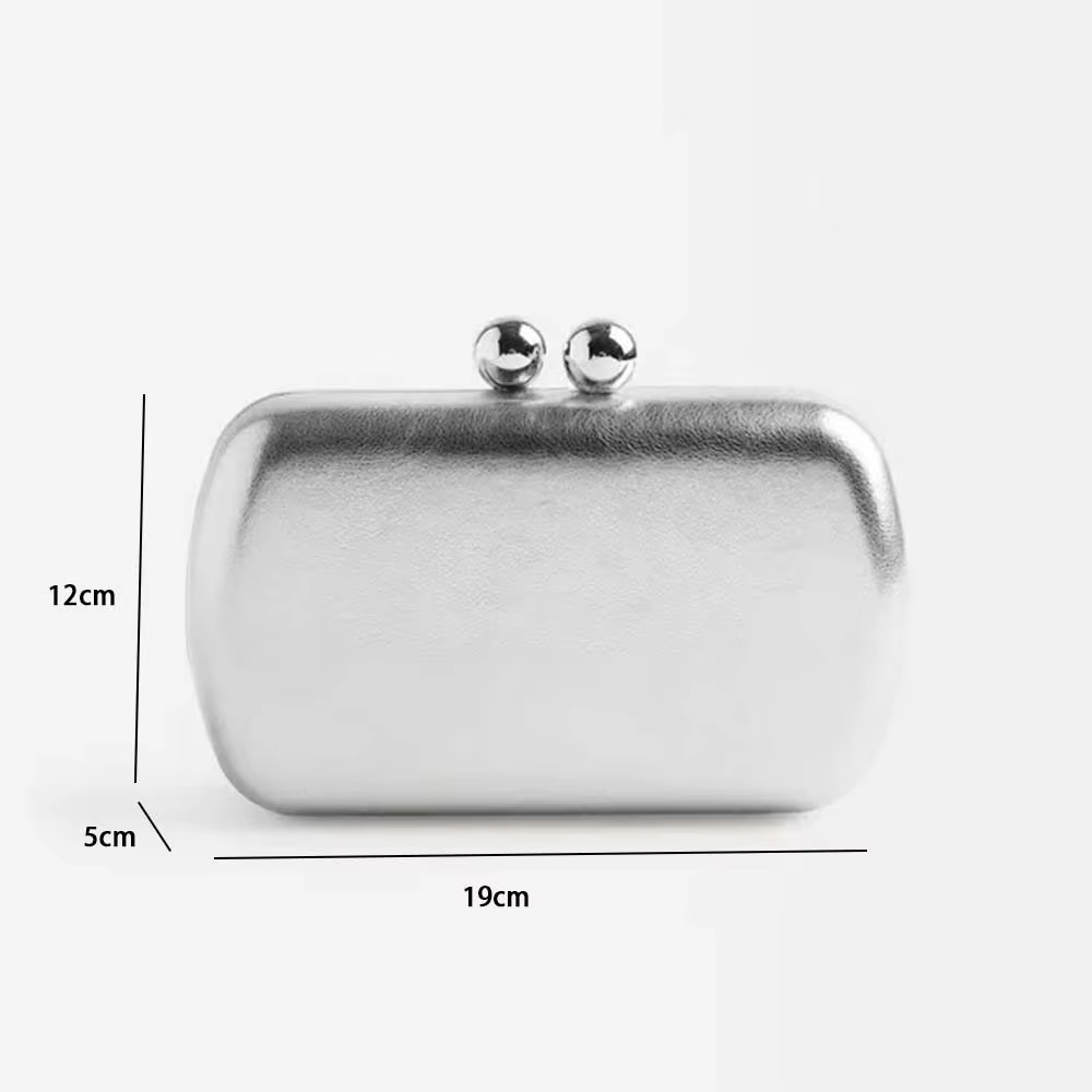 Pochette argentée pour femmes