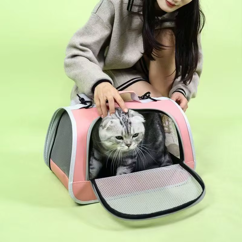Sac à main Portable pour sortie d'animaux de compagnie